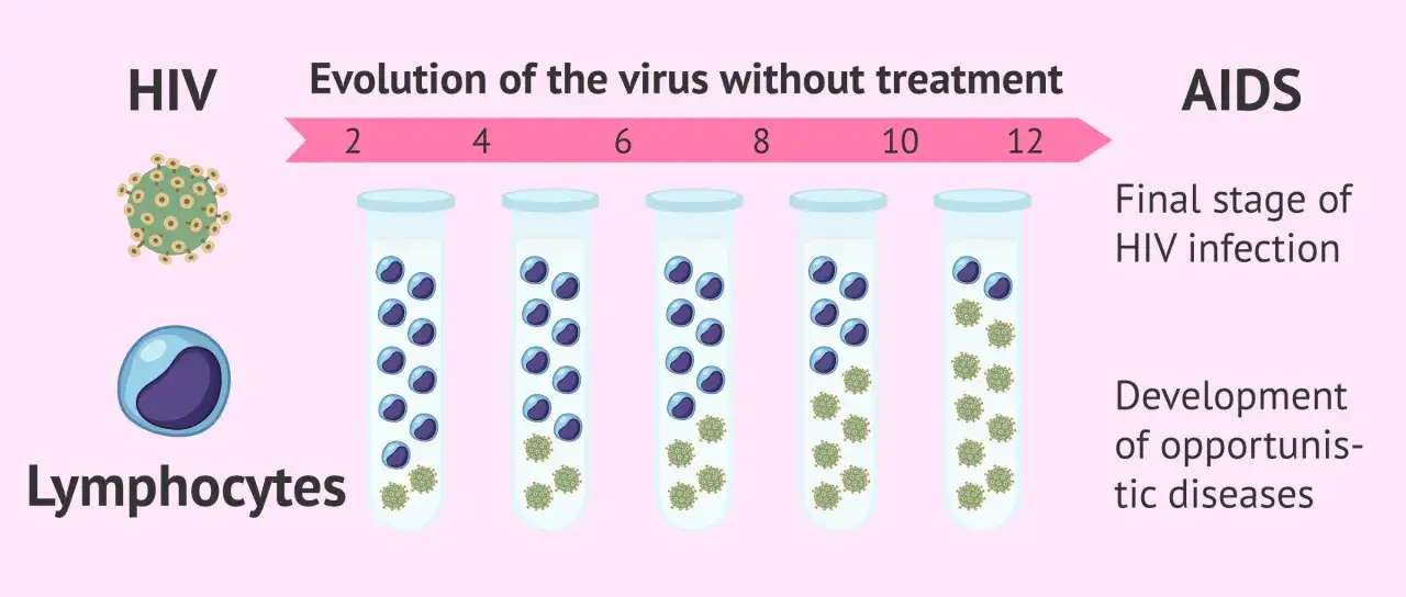 Ewolucja wirusa HIV bez leczenia prowadzi do AIDS. W probówkach widać spadek liczby limfocytów i wzrost wirusów.