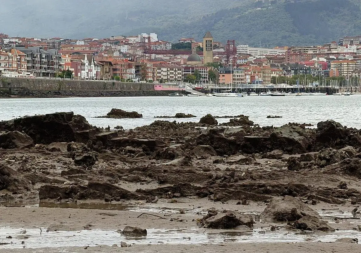 Rocas y lodo expuestos por las mareas vivas, con un puerto y una ciudad en el fondo.