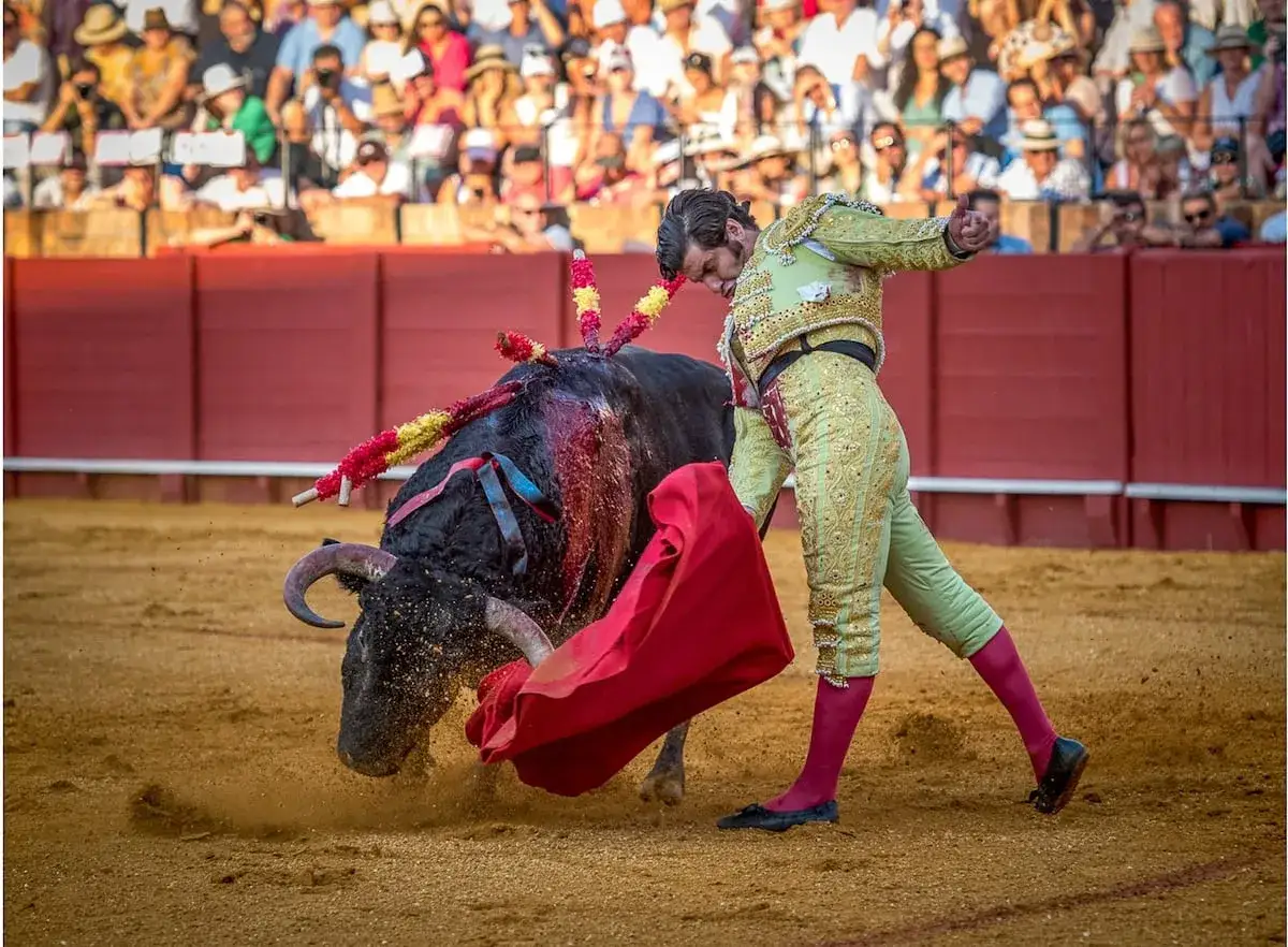 Morante de la Puebla, con su traje de luces, se enfrenta a un toro bravo en la arena. El p&uacute;blico observa atento.