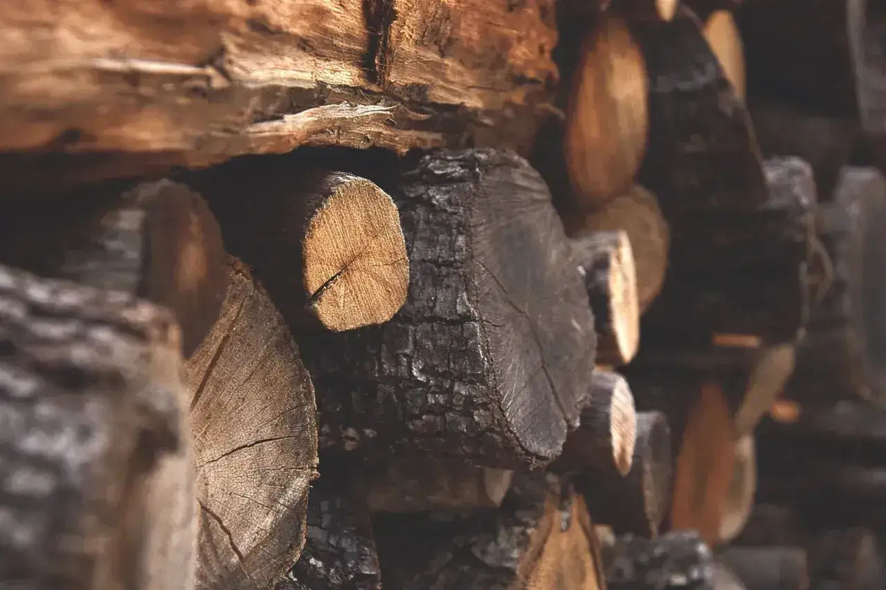 Gros plan sur une pile de bois de chauffage, certains troncs sont sombres et brûlés, d'autres plus clairs, évoquant le bois d'acacia.
