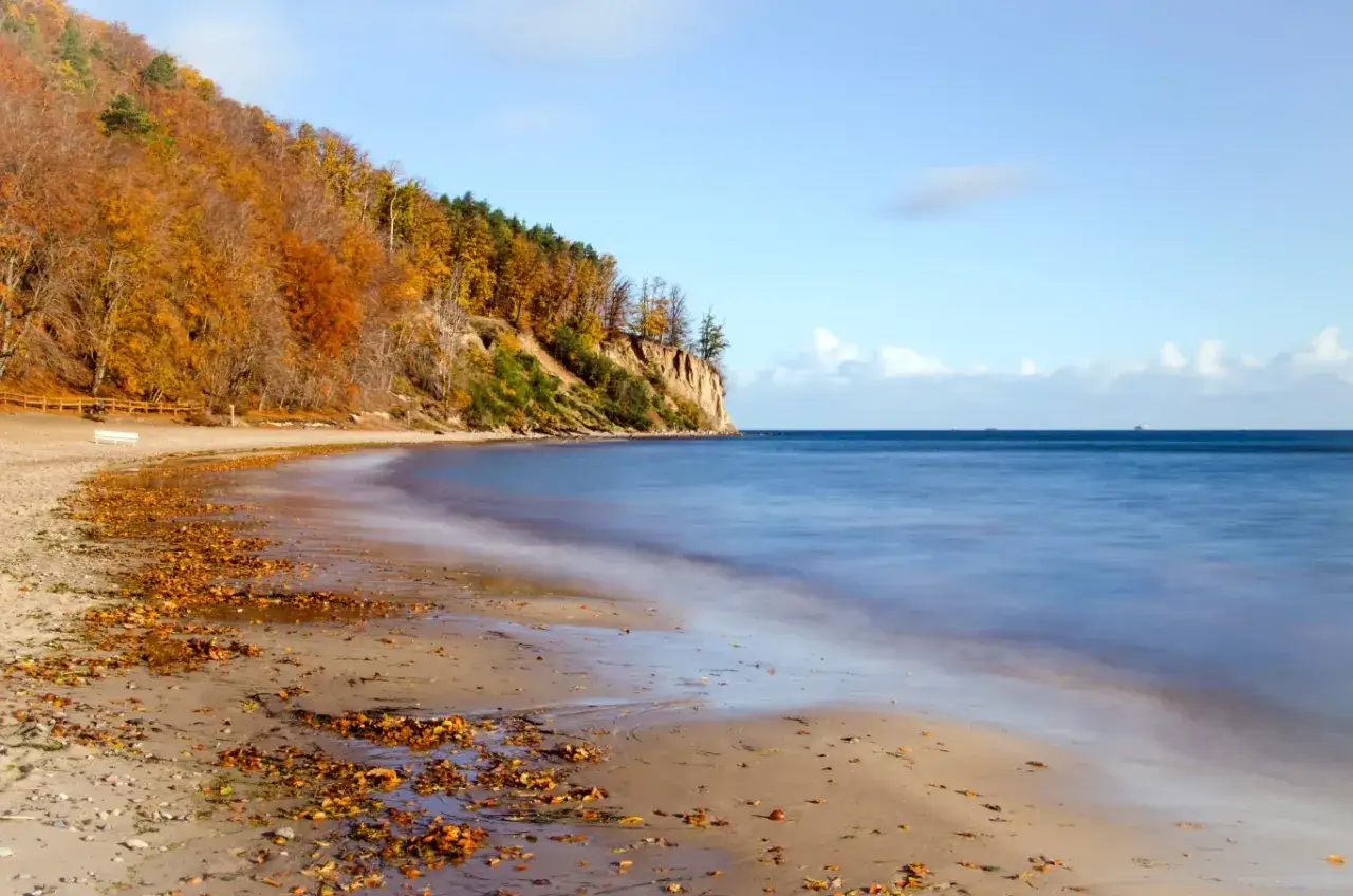 Jesień nad morzem, klif porośnięty kolorowymi drzewami, plaża usiana liśćmi. Właśnie wtedy, gdy powietrze jest rześkie, czuć, kiedy jest najwięcej jodu nad morzem.