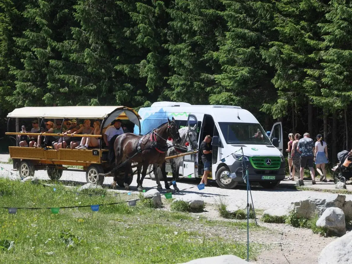 Wózek konny z turystami i biały bus. Czy trasa na Morskie Oko jest dostępna dla wózków dziecięcych? Tu widać transport konny, a obok bus.