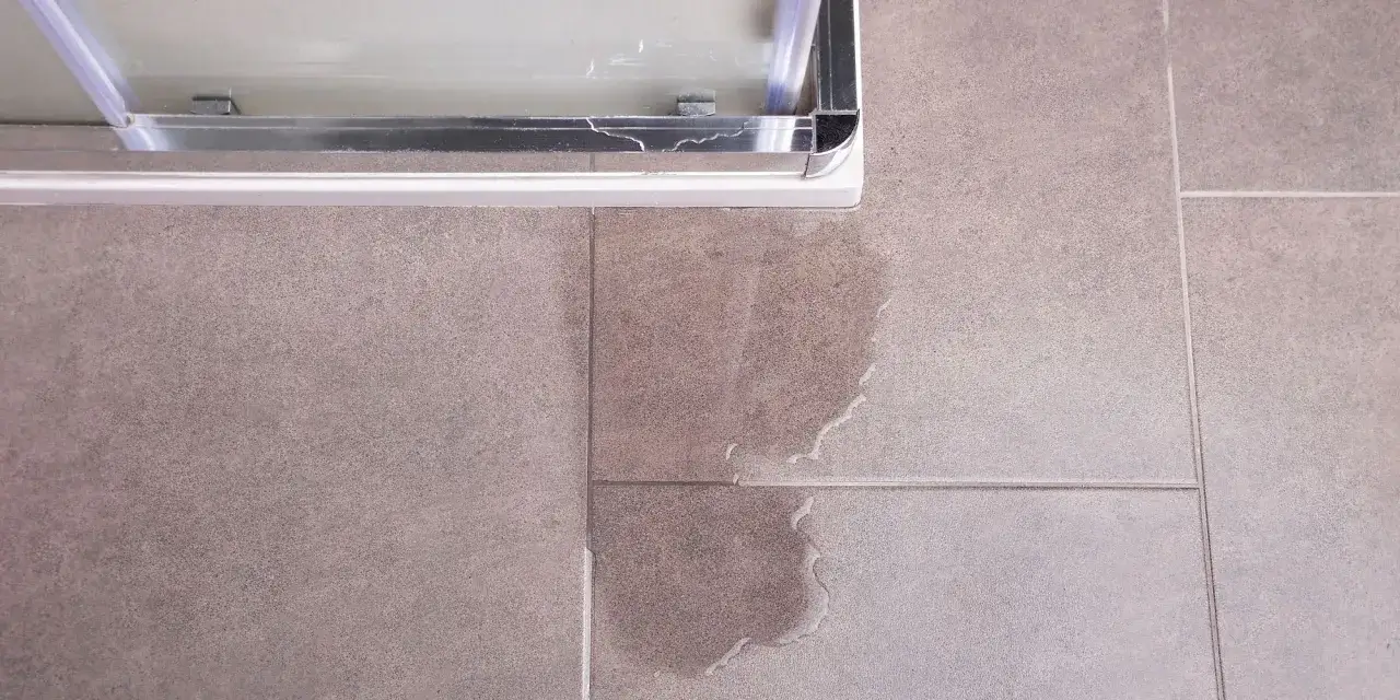 Fuite d'eau près d'une installation douche. Le sol carrelé est mouillé, indiquant un problème d'étanchéité.