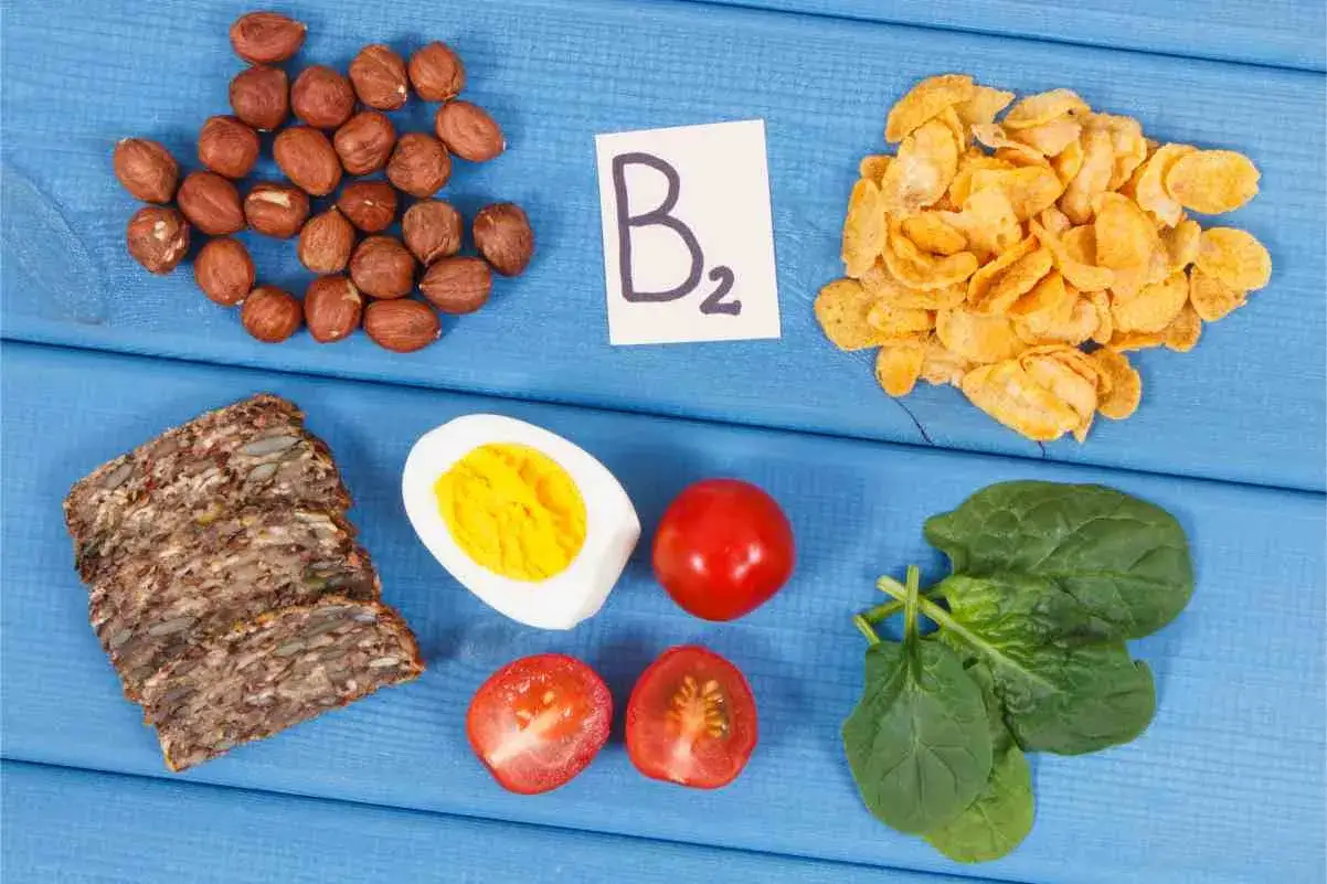 N&uuml;sse, Vollkornbrot, Ei, Tomaten, Spinat und Cornflakes &ndash; Lebensmittel reich an Vitamin B2.