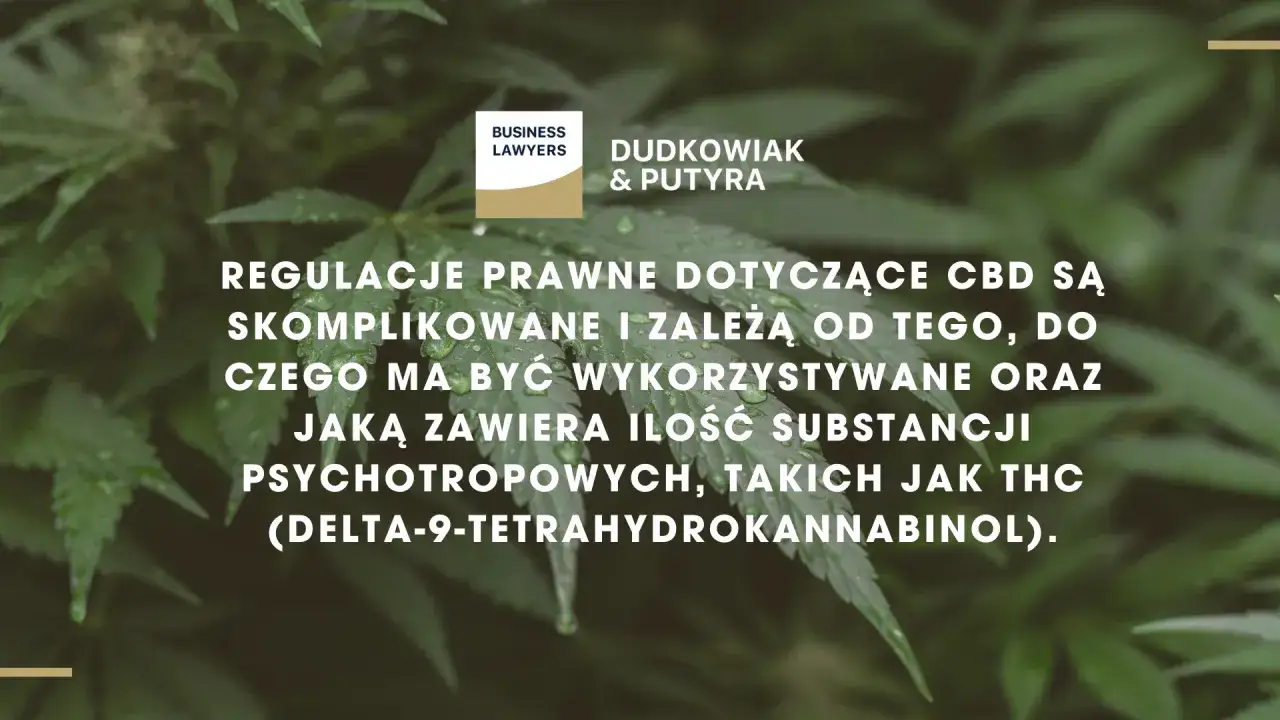 r&oacute;żnice CBD THC bezpieczeństwo