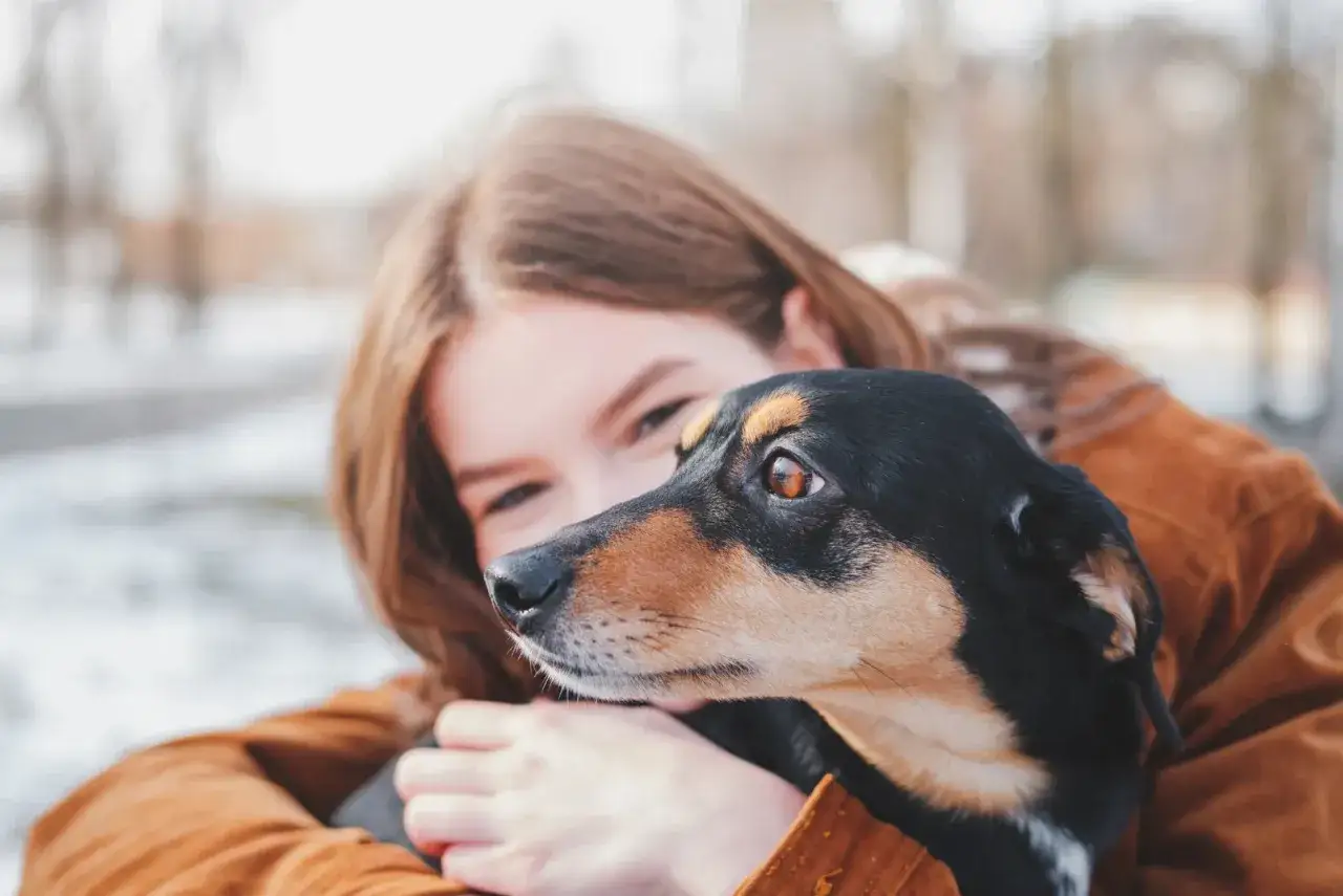 Un chien noir et brun blotti contre sa maîtresse, le regard plein d'affection. L'image évoque la question : en combien de temps un chien s'attache à son maître ?
