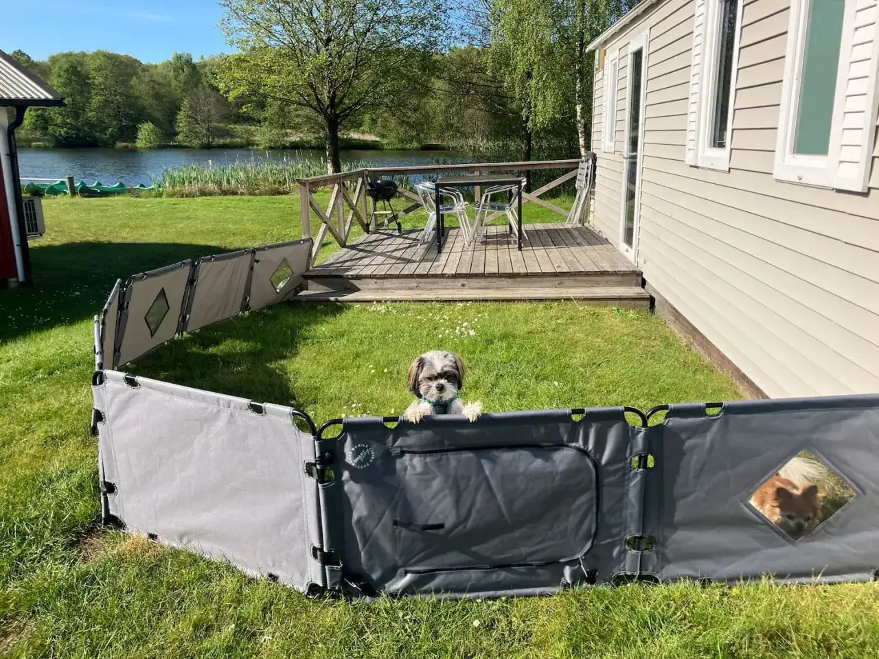 En söt hund vaktar sin campingstuga vid en sjö.