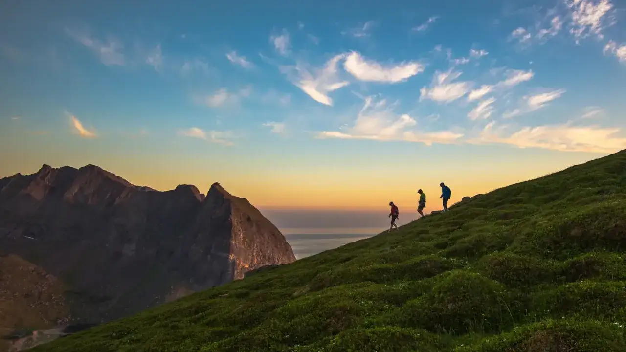 Vandrare på en grön sluttning vid solnedgången på Lofoten sommar. Dramatiska berg och hav i bakgrunden.