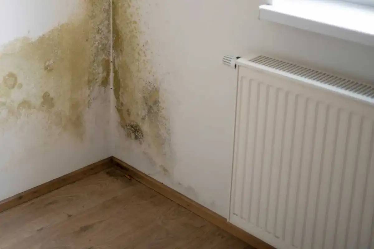Coin de mur moisi, signe d'une mauvaise isolation phonique et d'humidit&eacute;. Un radiateur blanc est visible &agrave; droite.