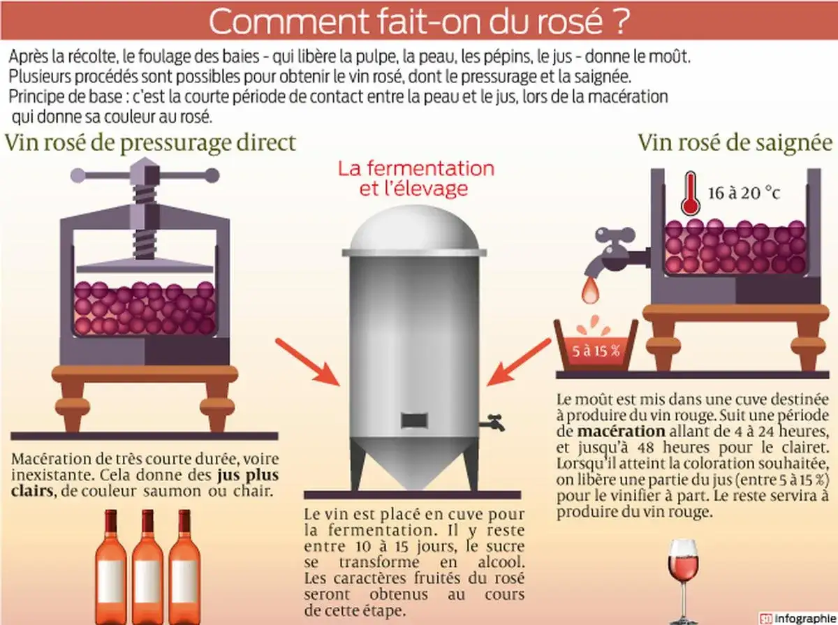 Le rosé est bien du vin, obtenu par pressurage direct ou saignée. L'image explique les procédés de fabrication.