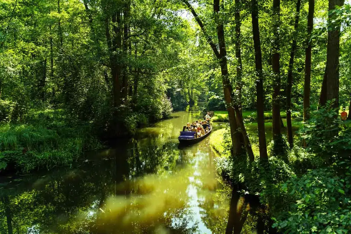 Bootsfahrt durch den Spreewald, ein ideales Ausflugsziel. Grüne Ufer und Bäume säumen den Fluss, auf dem ein Kahn mit vielen Besuchern fährt.