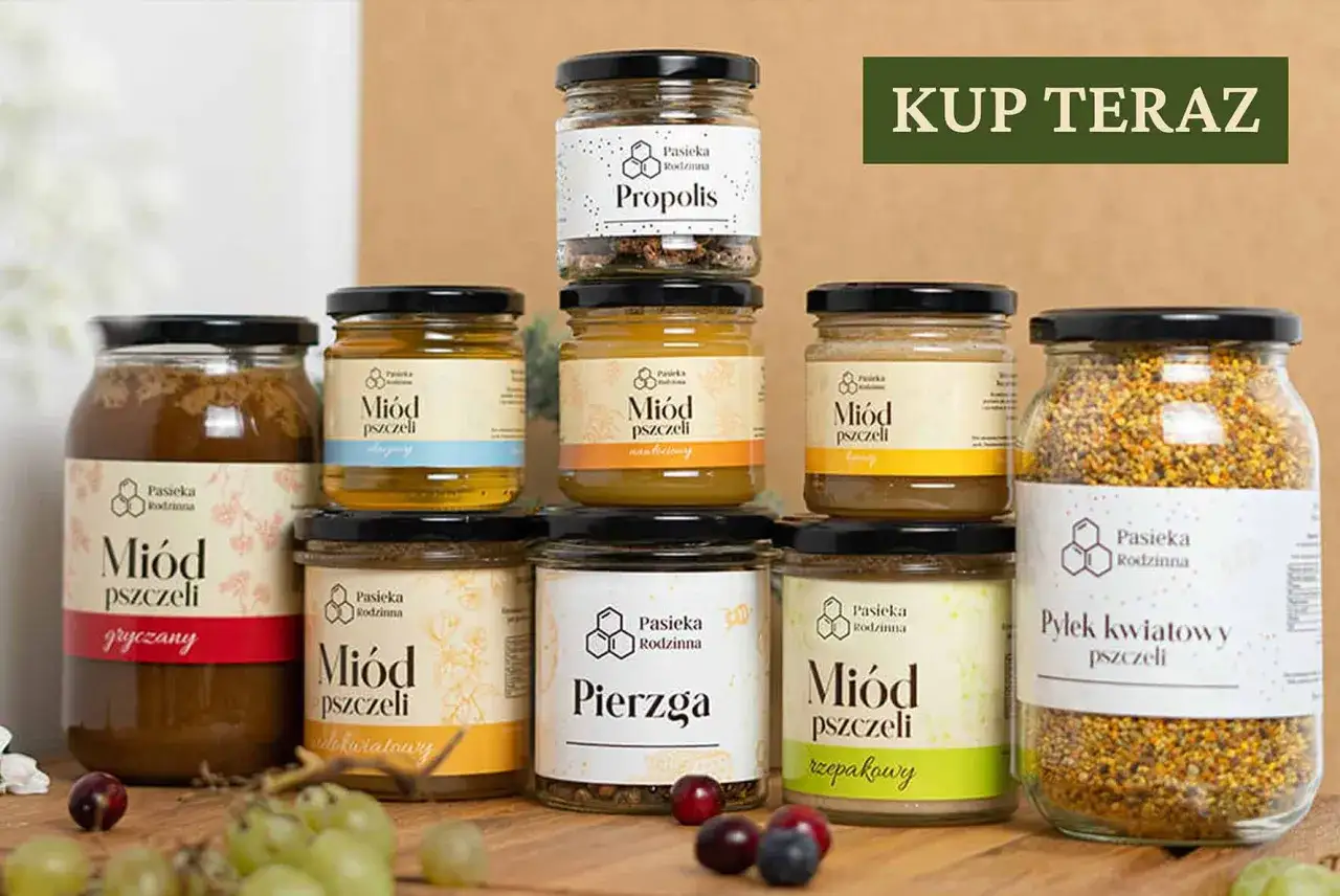 Słoiki z miodem i pierzgą. Zastanawiasz się, jaki miód przy hashimoto będzie najlepszy? Wybierz naturalne produkty z Pasieki Rodzinnej.