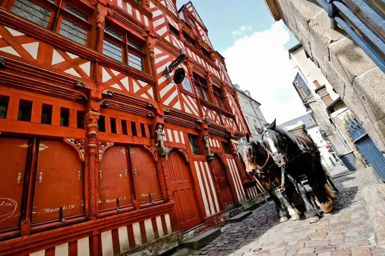 Deux chevaux attelés devant une maison à colombages rouge et blanche. Une idée de que faire à Rennes pour un voyage dans le temps.