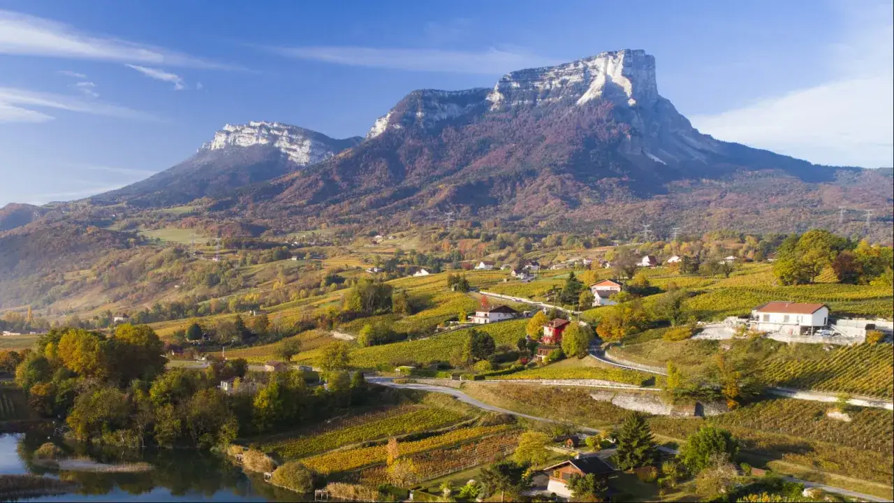Paysage d'automne en Savoie, avec des vignobles dorés et des montagnes majestueuses. Un avis sur le vin de Savoie Abymes s'impose.