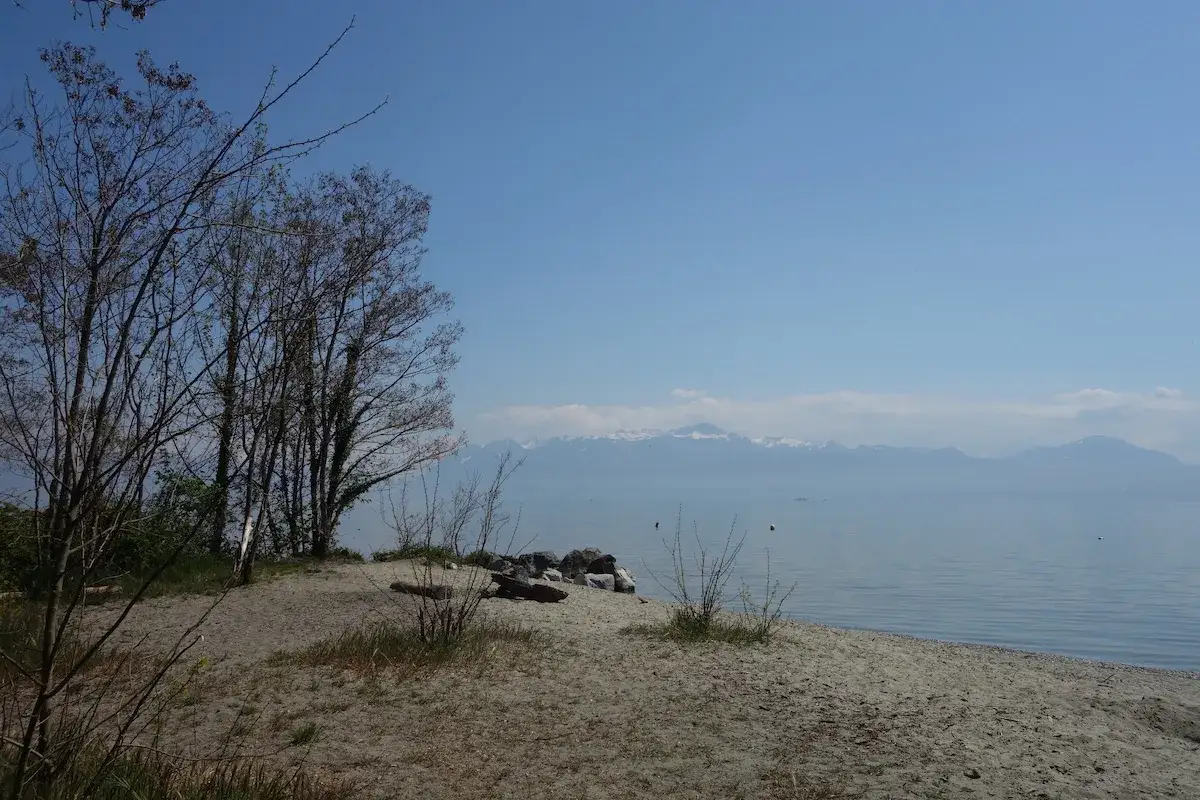 Sandiger Uferstreifen am Genfer See mit B&auml;umen im Vordergrund und schneebedeckten Bergen am Horizont.