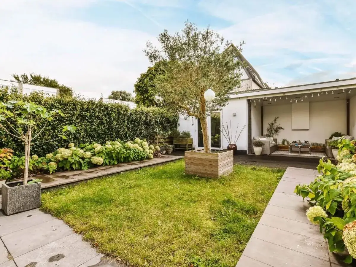 Un jardin verdoyant avec un olivier en pot, des hortensias et une terrasse am&eacute;nag&eacute;e, parfait pour l'am&eacute;nagement d'une maison neuve.