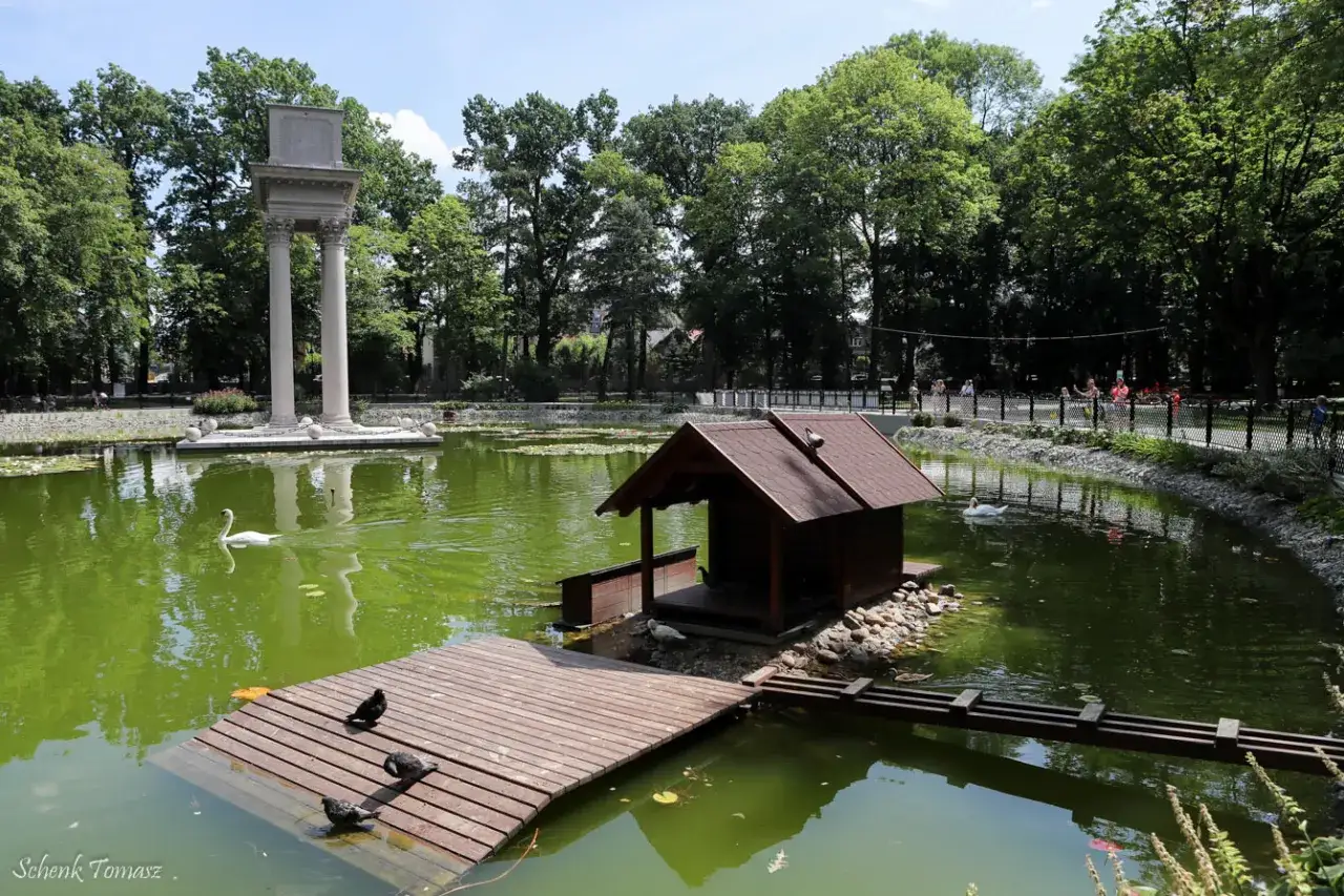 Park Strzelecki Tarnów: łabędź pływa po zielonym stawie, obok drewnianej chatki dla ptaków i pomnika z kolumnami.