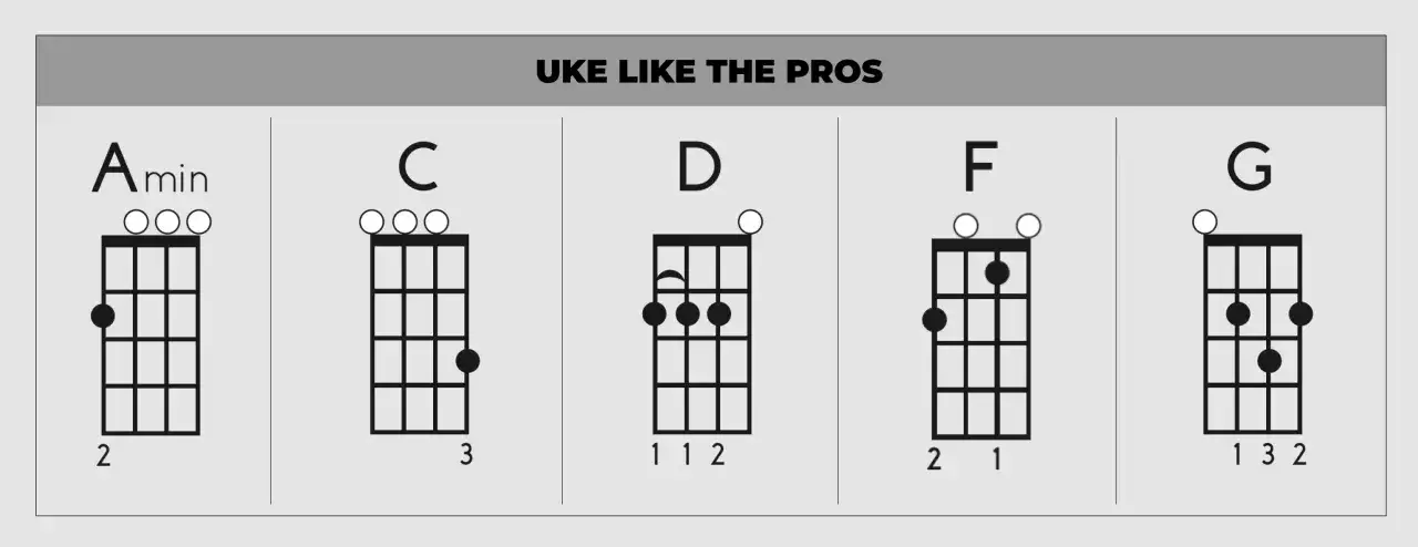 Diagramy akord&oacute;w na ukulele: Amin, C, D, F, G. Podpowiedź, jak grać na ukulele.