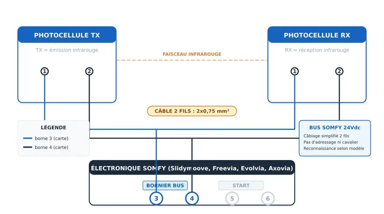 Schéma de branchement photocellule portail : émetteur TX et récepteur RX reliés à une électronique Somfy via un câble 2 fils.