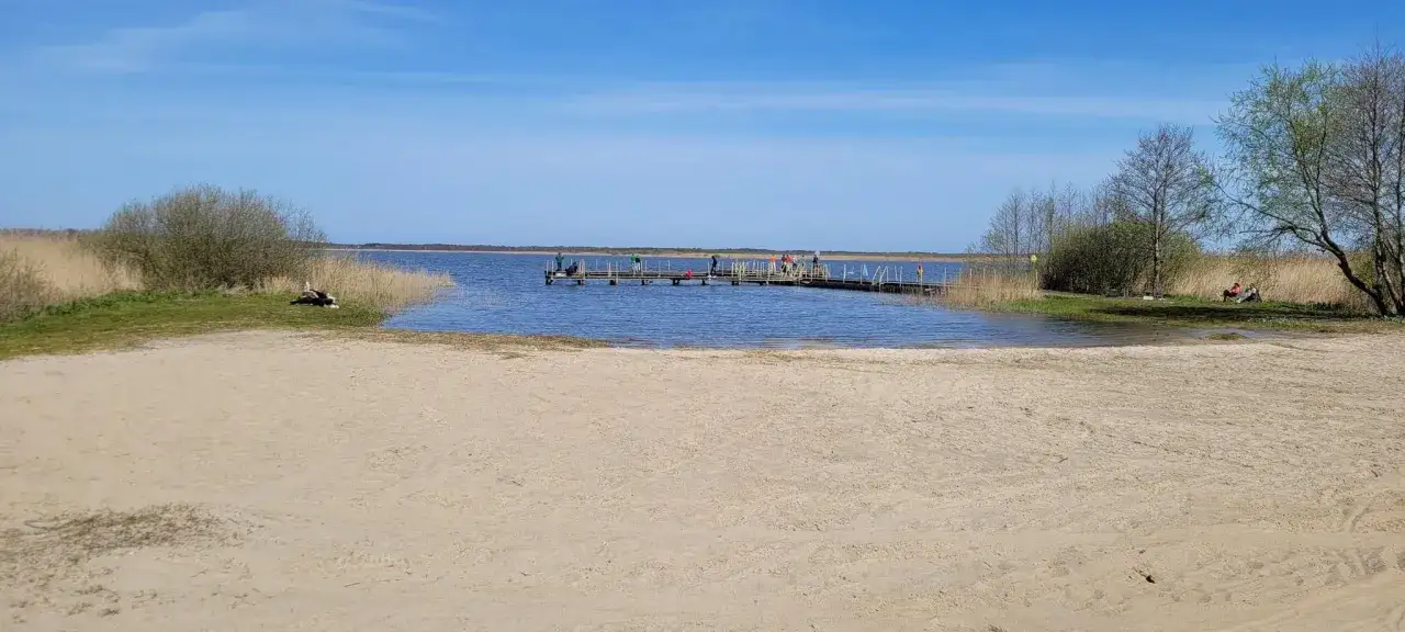 Plaża nad jeziorem Wicko, z pomostem i ludźmi, otoczona trzcinami i zielenią.