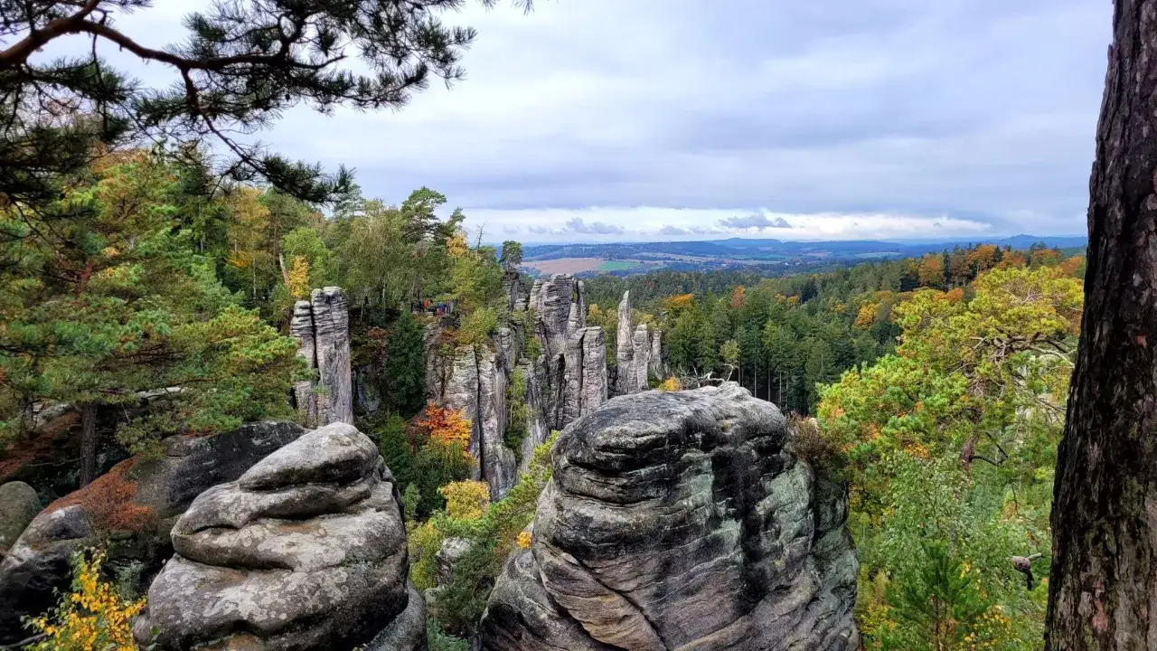 Blick &uuml;ber die Prachauer Felsen im Herbst. Hohe Sandsteint&uuml;rme ragen aus einem bunten Wald hervor, im Hintergrund eine weite Landschaft.