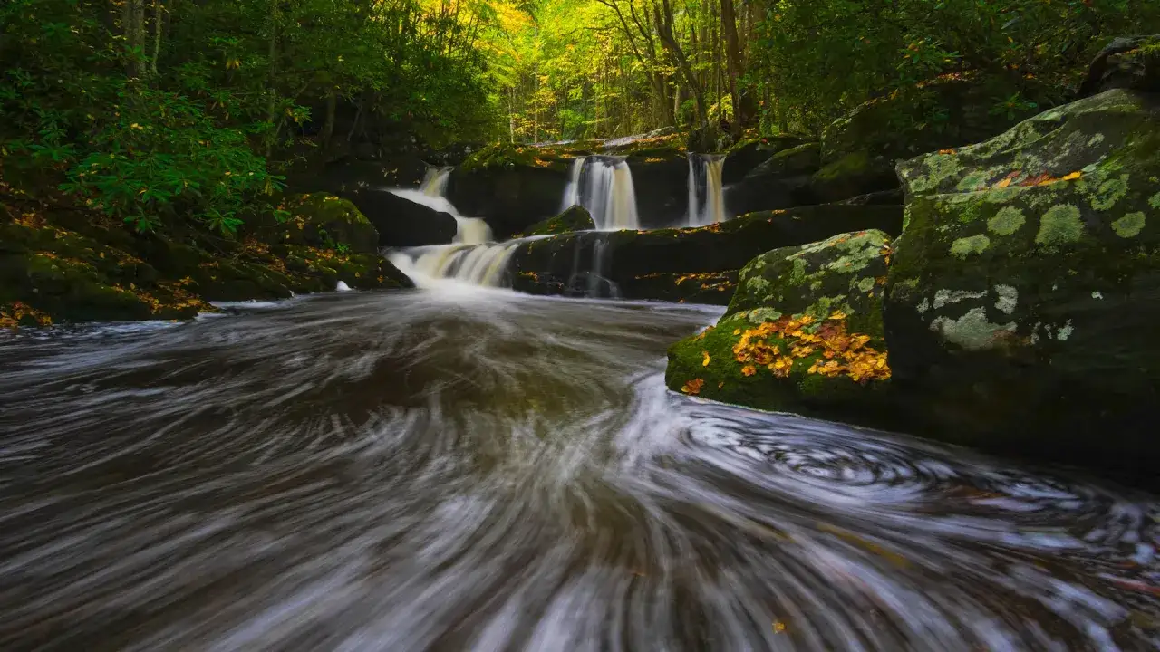 A serene waterfall photography scene with water flowing over moss-covered rocks, surrounded by lush green trees and fallen autumn leaves.
