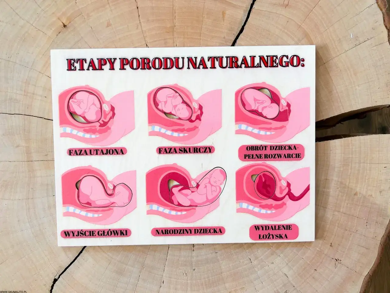 Grafika przedstawia etapy porodu naturalnego: fazę utajoną, skurcze, obrót dziecka, wyjście główki, narodziny i wydalenie łożyska. Dowiadujemy się, ile trwa poród.