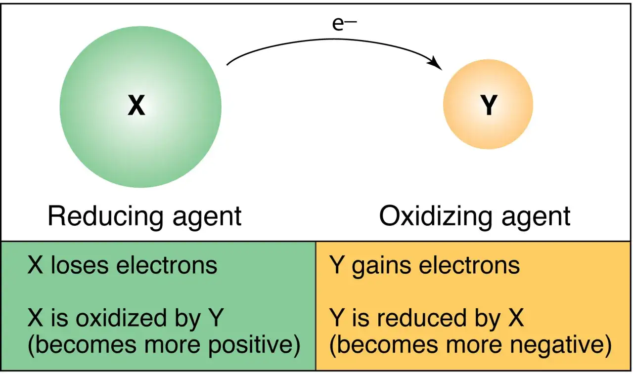 Ein Oxidationsmittel (Y) nimmt Elektronen von einem Reduktionsmittel (X) auf, wodurch Y reduziert und X oxidiert wird.