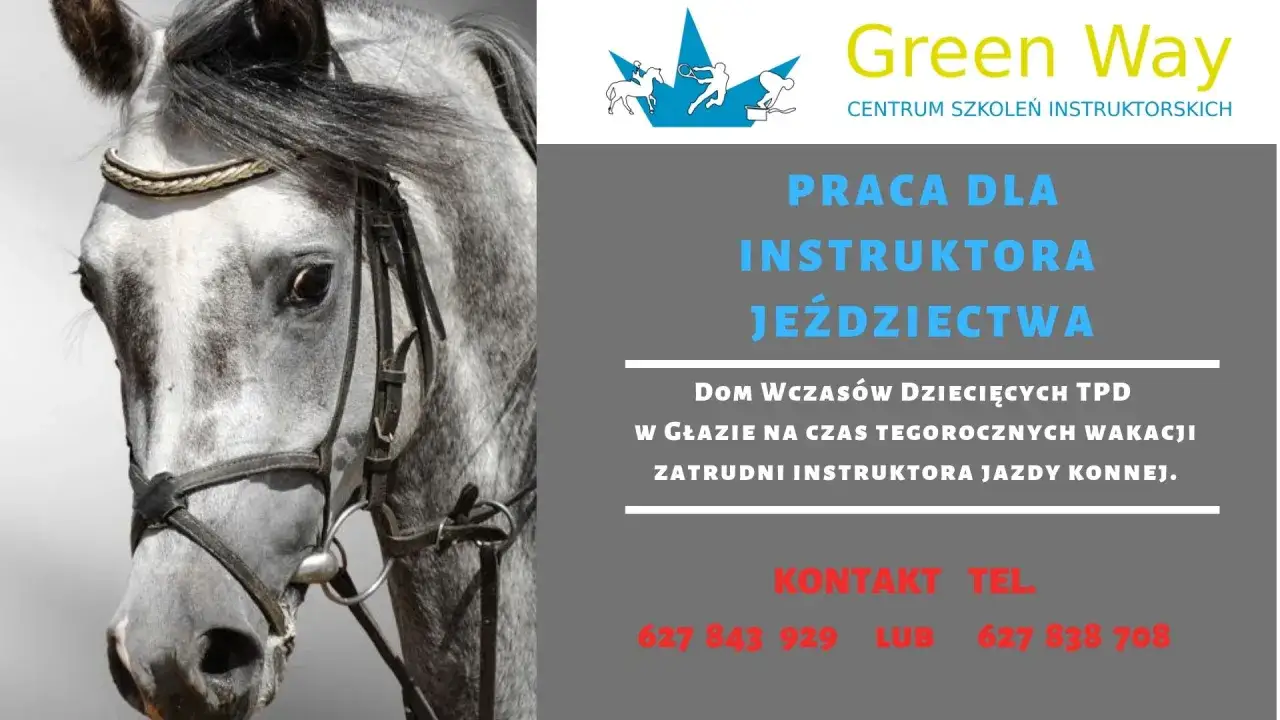 instruktor jeździectwa praca