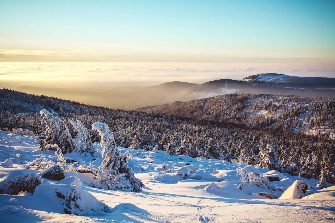Schneebedeckte B&auml;ume und H&uuml;gel im goldenen Licht der Morgensonne. Ein perfekter Ort f&uuml;r einen Winterurlaub in Deutschland.