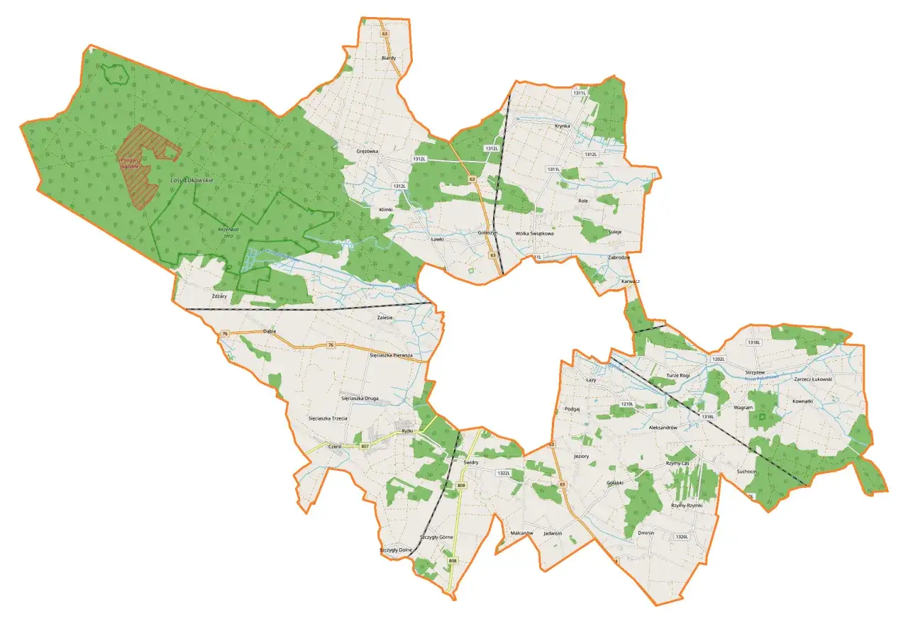 Mapa administracyjna z zaznaczonymi drogami, lasami i miejscowościami. Widać tu m.in. Lasy Łukowskie, Rezerwat Jata, Poligon Jagodne.