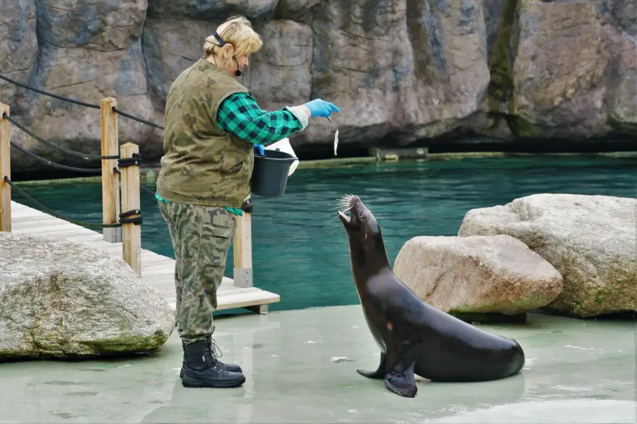 Opole ZOO dzieci warsztaty karmienie