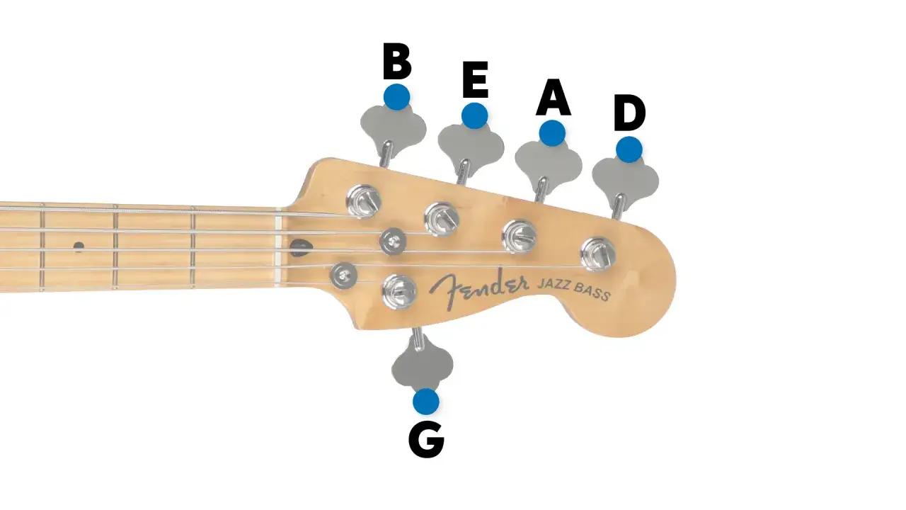 Kopfplatte eines Fender Jazz Bass mit Markierungen für die Saiten B, E, A, D und G, die beim Stimmen des Basses helfen.