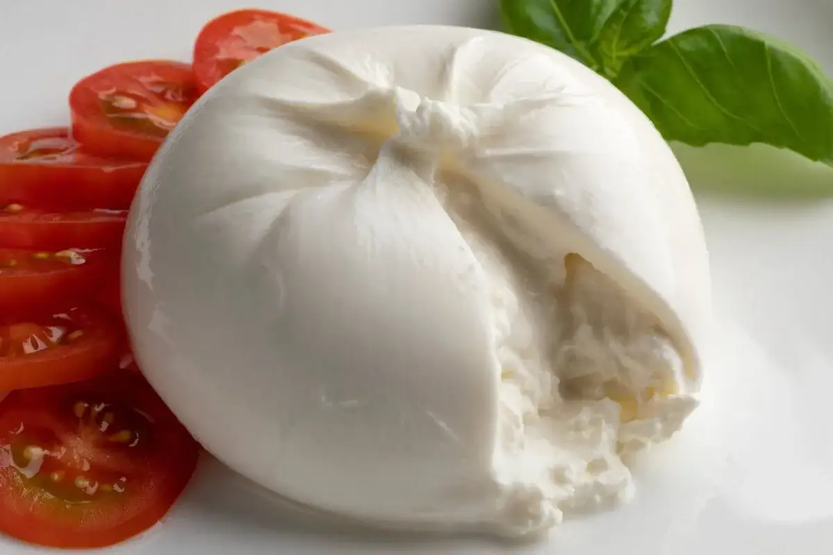 Cremige Burrata mit Tomaten und Basilikum. Ein Genuss, der auch in der Schwangerschaft erlaubt ist.
