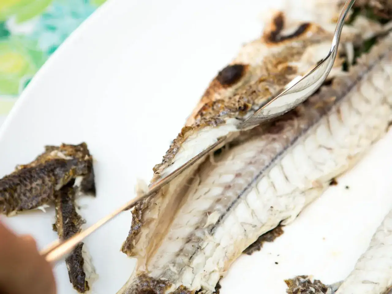 Łyżka delikatnie oddziela mięso ryby od ości. Czy tilapia ma ości? Tak, ale łatwo je usunąć.