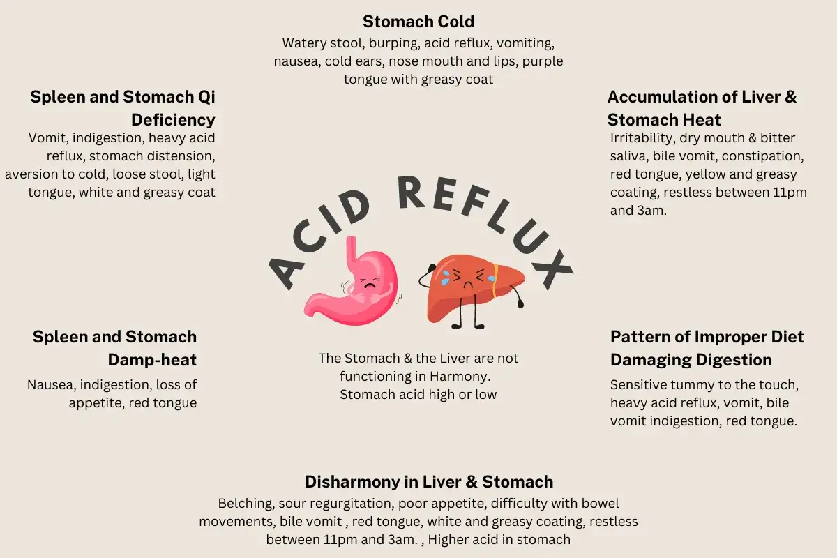 Diagram illustrating symptoms of acid reflux in dogs, including vomiting, indigestion, and stomach discomfort.