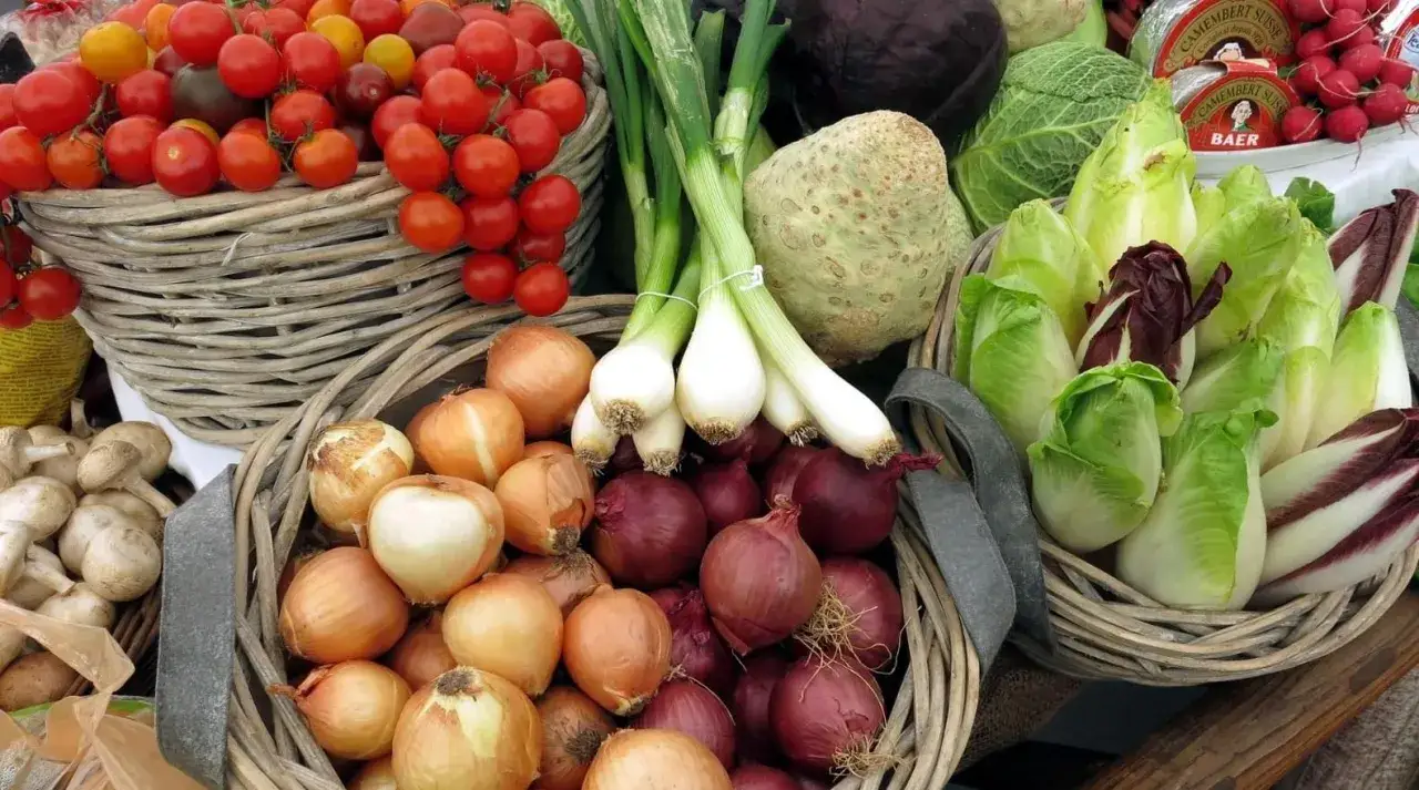 Cestas llenas de verduras de invierno para plantar: tomates, cebollas, puerros, apio, lechugas y rábanos.