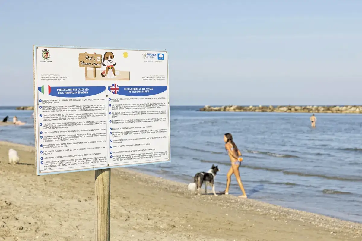 Cani in spiaggia: un'area dedicata ai nostri amici a quattro zampe. Regolamenti e prescrizioni per l'accesso.