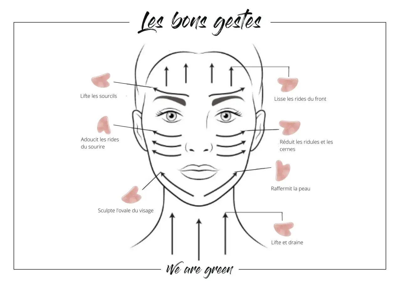 Illustration montrant les bons gestes pour un facial massage avec des outils gua sha pour lifter, lisser et raffermir la peau.