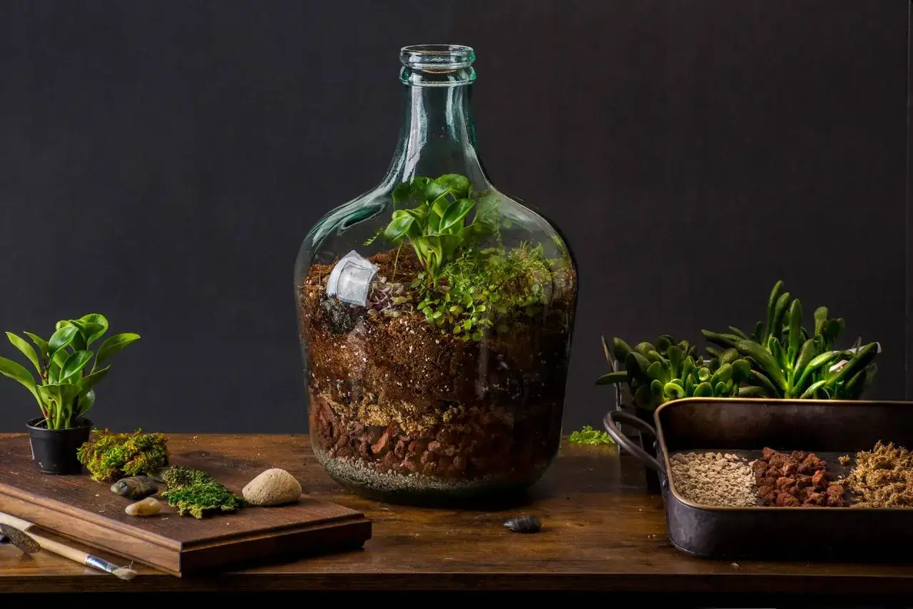 Ein Flaschengarten selber machen: Grüne Pflanzen und Erde in einer Glasflasche, daneben Werkzeuge und Materialien.