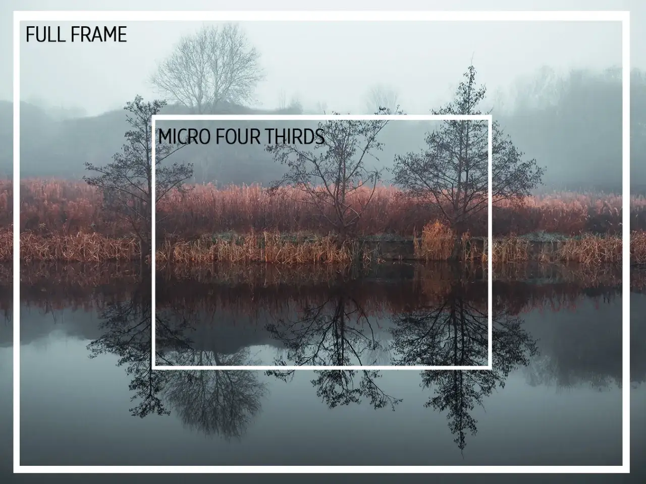 Full frame vs. Micro Four Thirds sensor comparison, showing the mft crop factor effect on a misty landscape with reflections.