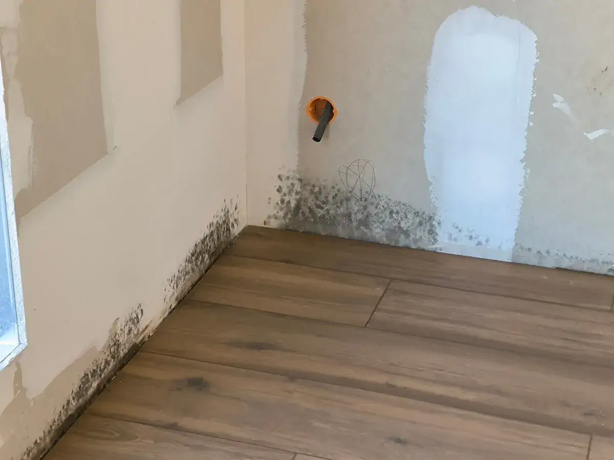 Esquina de pared con moho y suelo de madera. Indica la necesidad de un tratamiento de humedades en viviendas para evitar su propagación.