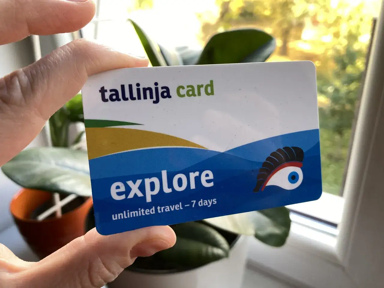 Karta Tallinja