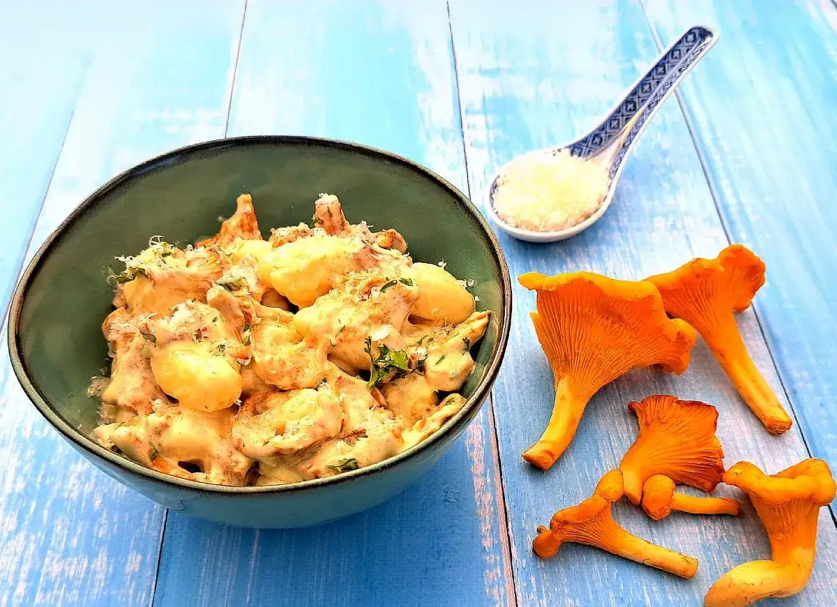 Pyszne gnocchi z kurkami w kremowym sosie, posypane parmezanem. Obok świeże kurki i łyżeczka sera.