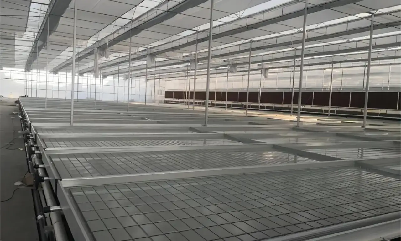 Tomma odlingsbänkar i ett växthus, redo för ett ebb och flod system. Ljuset flödar genom taket.