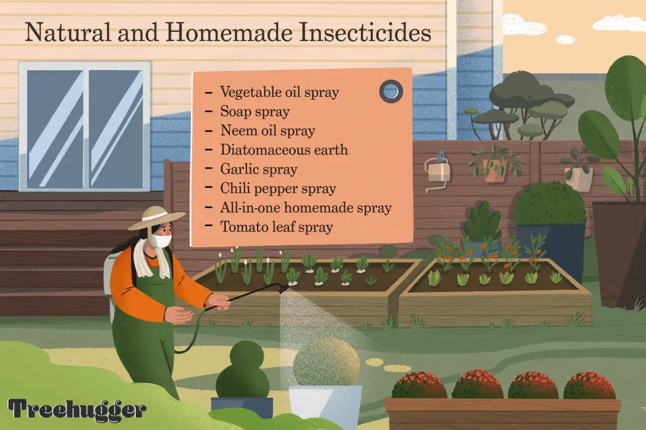 Persona con maschera e grembiule spruzza un giardino, mostrando come eliminare gli insetti in casa in modo naturale con spray fatti in casa.
