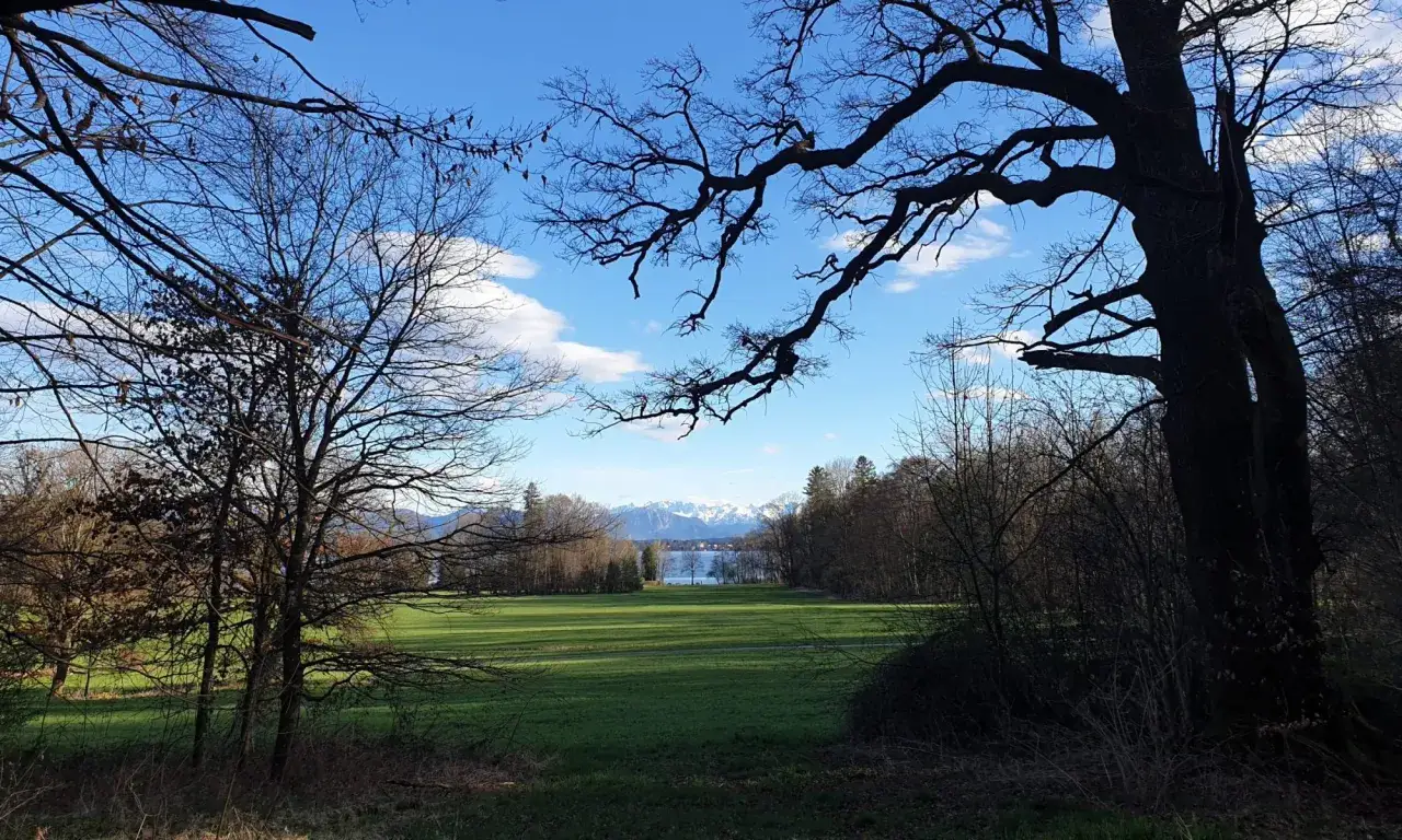 Blick durch kahle Äste auf eine grüne Wiese, den Starnberger See und schneebedeckte Berge bei Bernried am Starnberger See.