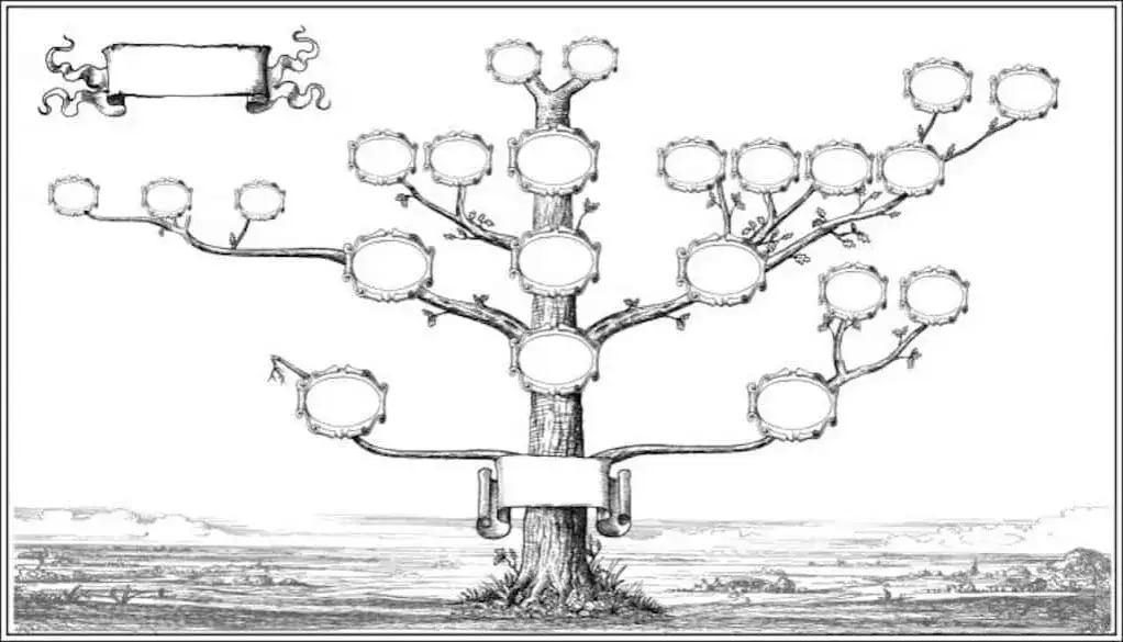 genealogia drzewo rodzinne pochodzenie nazwisk
