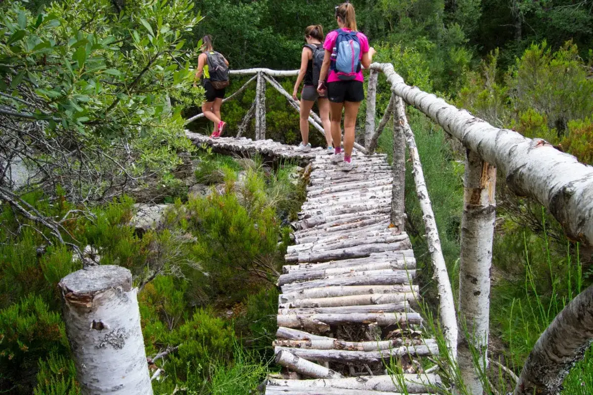 Tres mujeres disfrutan de las rutas de senderismo en Zamora, cruzando un puente rústico de madera rodeado de vegetación.