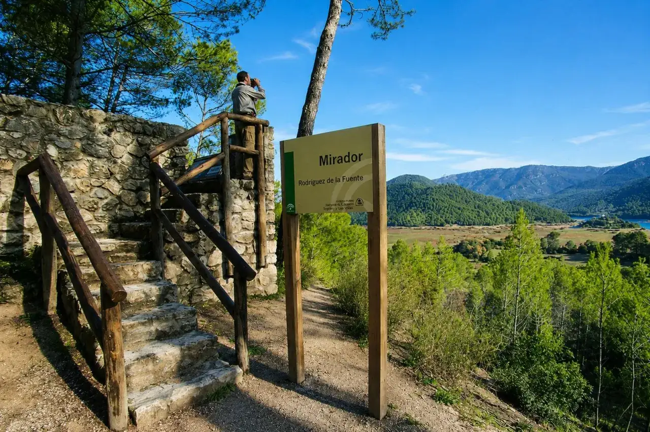 Mirador en la ruta F&eacute;lix Rodr&iacute;guez de la Fuente. Un hombre observa el paisaje desde un mirador de piedra y madera.